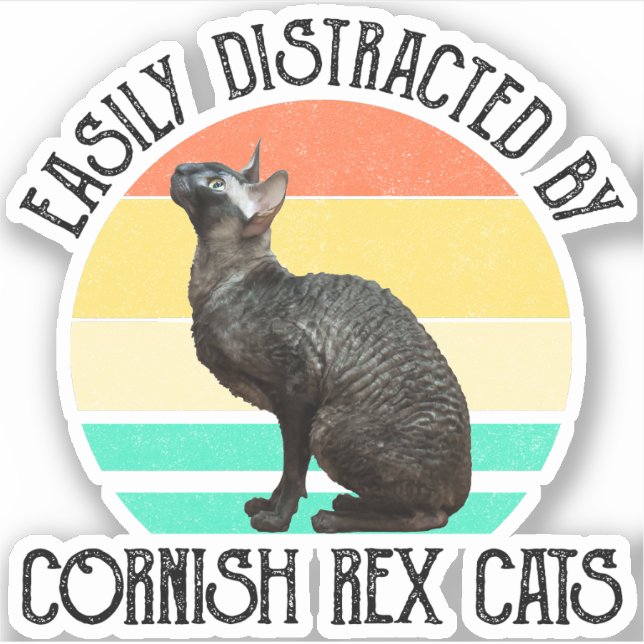 Einfach abgelenkt durch Cornish Rex Katzen Aufkleber (Vorderseite)