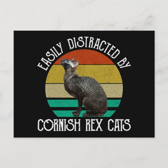 Einfach abgelenkt durch Cornish Rex Katzen Postkarte (Vorderseite)