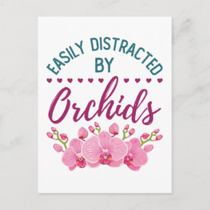 Einfach abgelenkt von Orchideen Orchideenliebhaber Postkarte