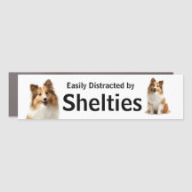 Einfach abgelenkt von Shelties Humor