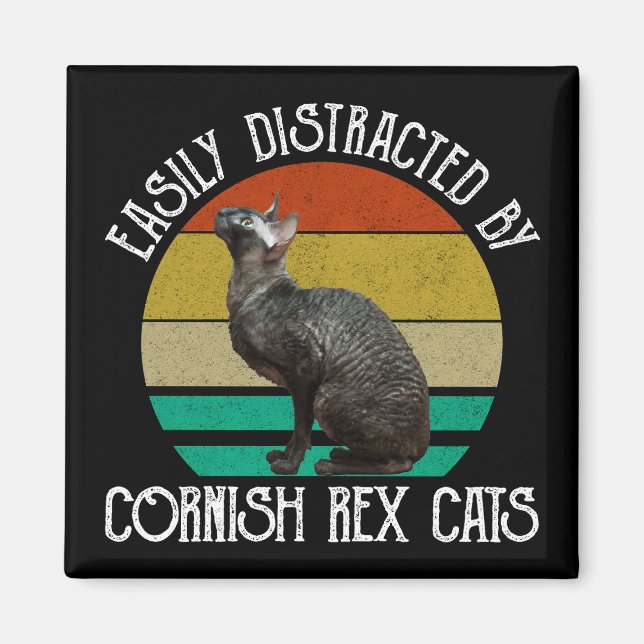 Einfach Ablenkbar Durch Cornish Rex Katzen Magnet (Vorne)