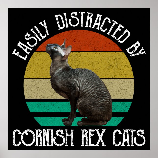 Einfach Ablenkbar Durch Cornish Rex Katzen Poster (Vorne)