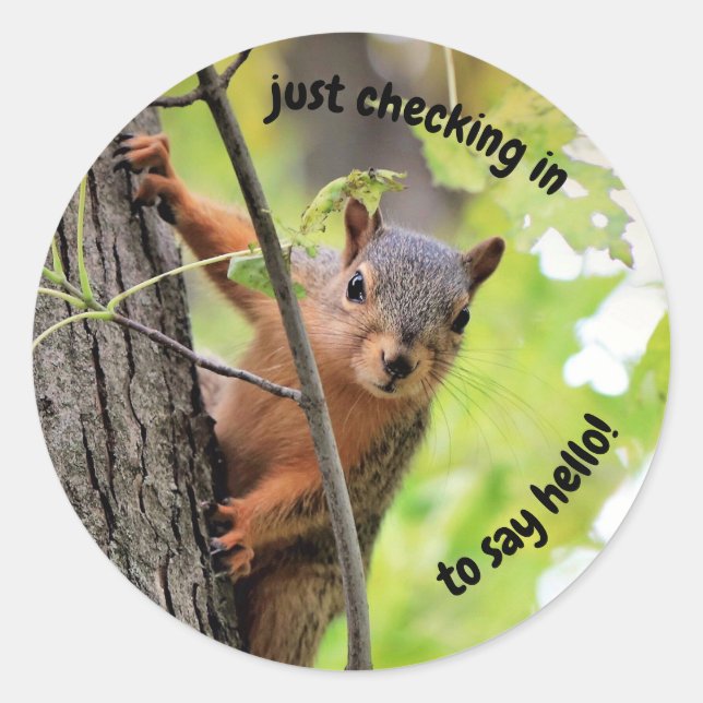 Einfach Aufkleber anklicken (Vorderseite)