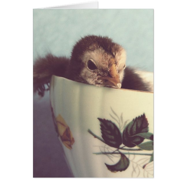 Einfach chillen (Vorne)