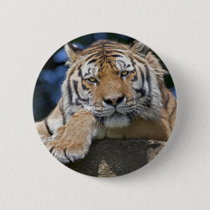 Einfach Chillen-Abzeichen Button