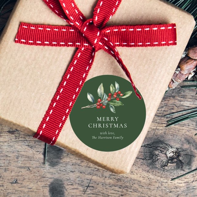 Einfach Elegantes Weihnachtswasser Botanisch Runder Aufkleber (Von Creator hochgeladen)