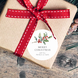 Einfach Elegantes Weihnachtswasser Botanisch Runder Aufkleber