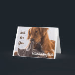 **EINFACH FÜR SIE GRANDDAUGHTER** GEBURTSTAG IST B KARTE<br><div class="desc">VIELEN DANK,  DASS SIE VON EINER MEINER ACHT GESCHICHTEN GESCHAFFEN HABEN!</div>