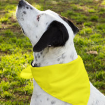 Einfach gelbe, solide Farbe anpassen