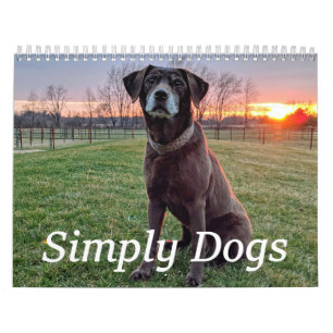 Einfach Hunde Kalender