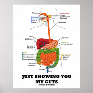Einfach meine Gedanken zeigen (Digestive System Sp Poster