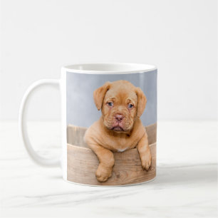 einfach minimal fügen Sie Ihr Haustierfoto Name an Kaffeetasse
