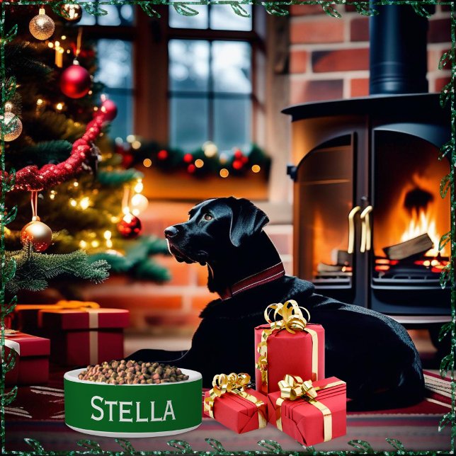 Einfach Minimalistischer Hundename grün Napf (A minimalist ceramic pet bowl in green and white, to personalize with your dog's or cat's name)