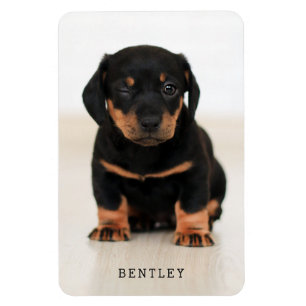 Einfach modernes Full Foto Personalisiert  Schwarz Magnet