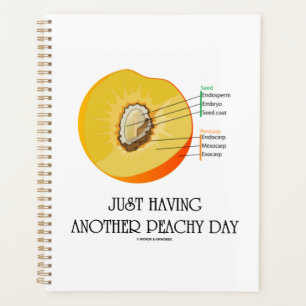 Einfach noch eine Peachy Day Peach Anatomie Planer