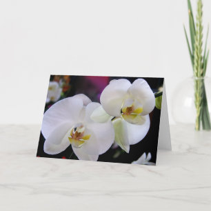 Einfach Orchideen Karte