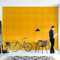 Einfach Turmeric Orange