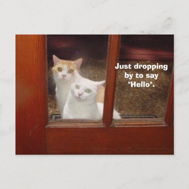 einfach vorbeigehen postkarte (Vorderseite)