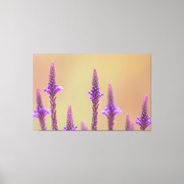 Einfach zum Träumen... Leinwanddruck (Vorderseite)