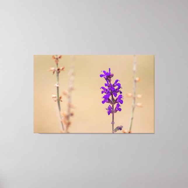 Einfach zum Träumen und Wohlfühlen. Leinwanddruck (Vorderseite)