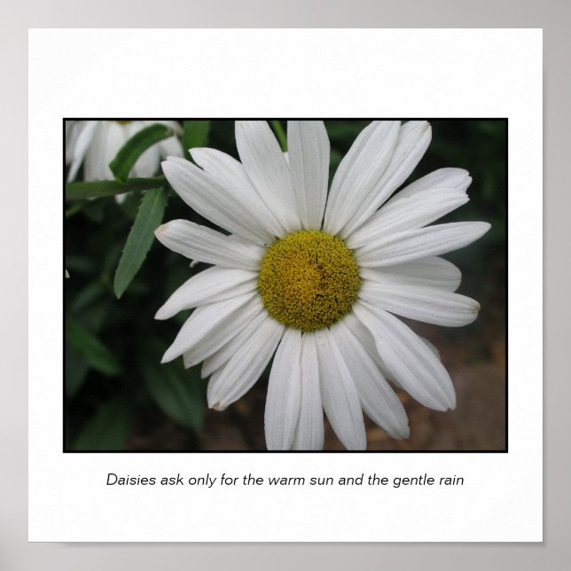 Einfache Anfragen Poster (Vorne)