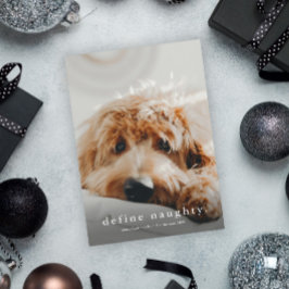 Einfache Art Funny Pet Weihnachten