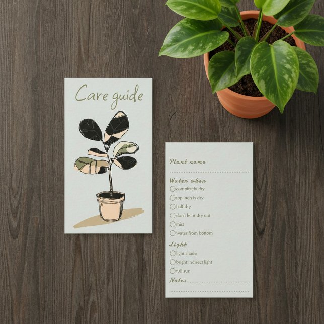 Einfache Betreuung für Pflanze-Shop-Bestellungen Begleitkarte (Simple Care Guide for house plant Shop Orders Enclosure Card.)
