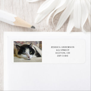 Einfache Cat Foto Rücksendeadresse