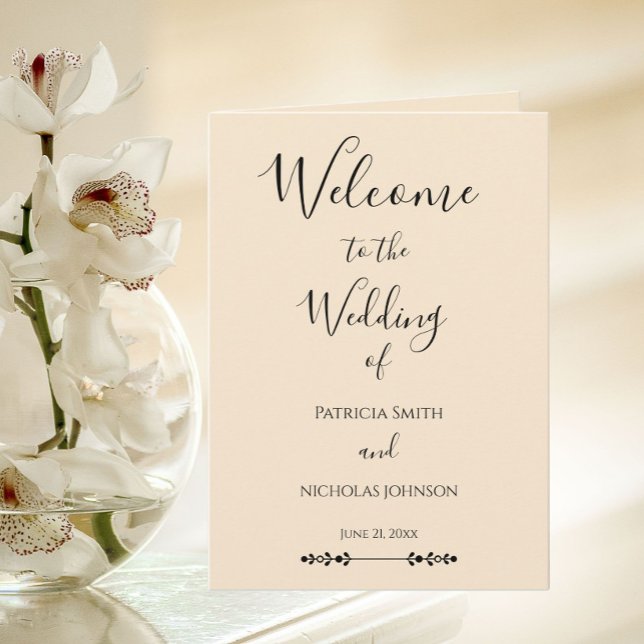 Einfache Champagner-Hochzeit im stilisierten Stil Programm (In Situ Wedding)