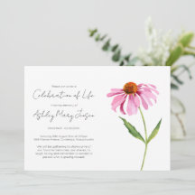 Einfache Echinacea Lebensfeier Beerdigung