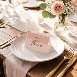 Einfache, elegante Blush-Hochzeitstisch-Platzkarte Platzkarte