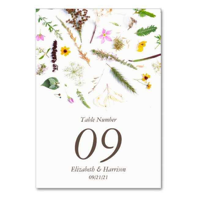 Einfache, elegante Botanische Wilde Blume Hochzeit Tischnummer (Vorderseite)