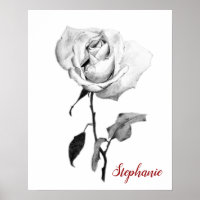 Einfache elegante Rose in Schwarz-Graphit-Stift