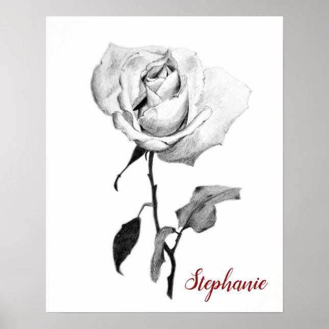 Einfache elegante Rose in Schwarz-Graphit-Stift Poster (Vorne)