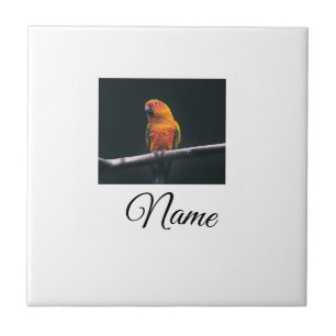 Einfache farbenfrohe Tier-Add-Name-Foto-individuel Fliese