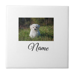 Einfache farbenfrohe Tier-Add-Name-Foto-individuel Fliese