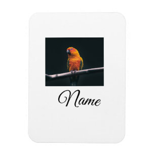 Einfache farbenfrohe Tier-Add-Name-Foto-individuel Magnet