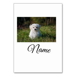 Einfache farbenfrohe Tier-Add-Name-Foto-individuel Tischnummer