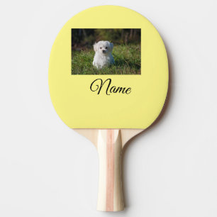 Einfache farbenfrohe Tier-Add-Name-Foto-individuel Tischtennis Schläger