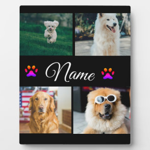 Einfache farbige Foto-Namenssammlung Fotoplatte