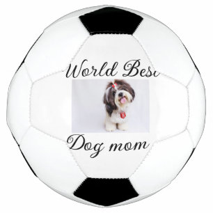 Einfache farbige Tiere geben Foto Hund Mama-Gesche Fußball
