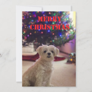Einfache, feine Weihnachtskarte Einladung