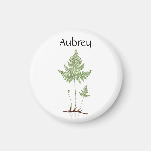 Einfache Fern, Magnet (Vorne)