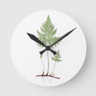 Einfache Fern, Runde Wanduhr