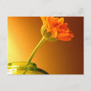 Einfache florale Postkarte