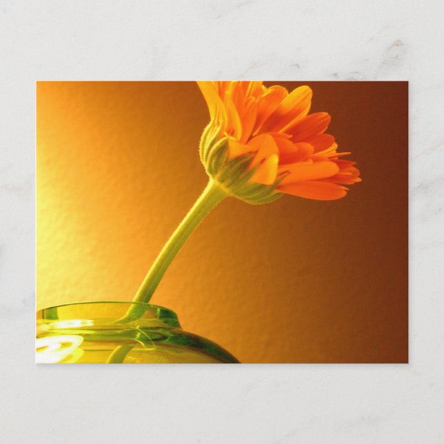 Einfache florale Postkarte (Vorderseite)