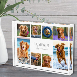 Einfache Fotocollage mit Hund Fotoblock