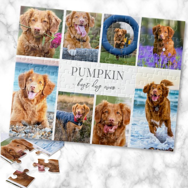 Einfache Fotocollage mit Hund Puzzle (Simple Dog Pet Photo Collage jigsaw puzzle)