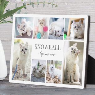 Einfache Fotocollage mit Katzenhaustier Fotoplatte