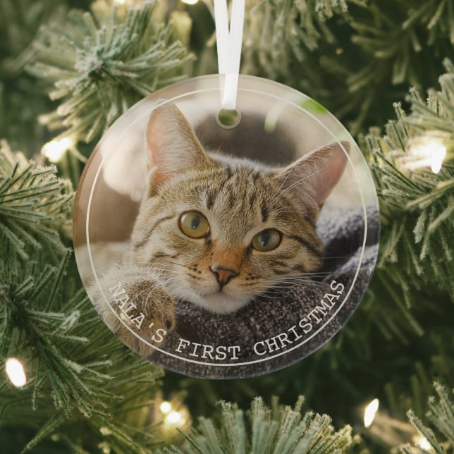 Einfache Frame Animal Foto Ornament Aus Glas (InSitu)
